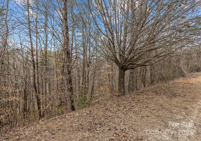 Photo 3 of Land for sale at Lot 102 Glenhaven Dr, Marion, NC 28752 | MLS# 4228567 | Listing updated on 2026-09-01