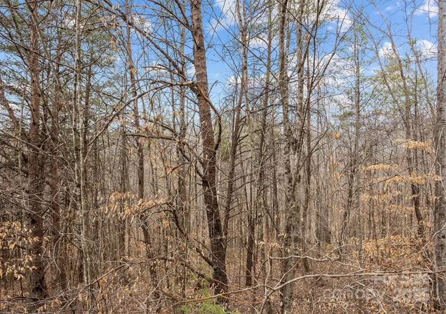 Photo 4 of Land for sale at Lot 102 Glenhaven Dr, Marion, NC 28752 | MLS# 4228567 | Listing updated on 2026-09-01