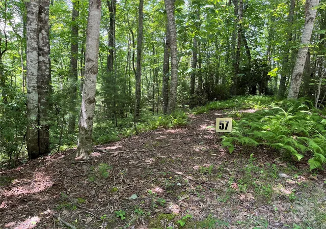 Photo 1 of Land for sale at 57 Big Branch Rd, Brevard, NC 28712 | MLS# 4228930 | Listing updated on 2025-10-10