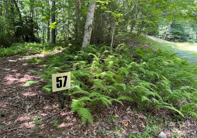 Photo 2 of Land for sale at 57 Big Branch Rd, Brevard, NC 28712 | MLS# 4228930 | Listing updated on 2025-10-10