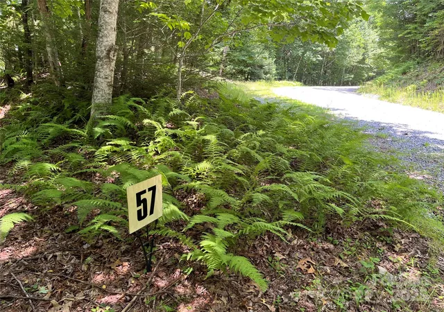 Photo 3 of Land for sale at 57 Big Branch Rd, Brevard, NC 28712 | MLS# 4228930 | Listing updated on 2025-10-10
