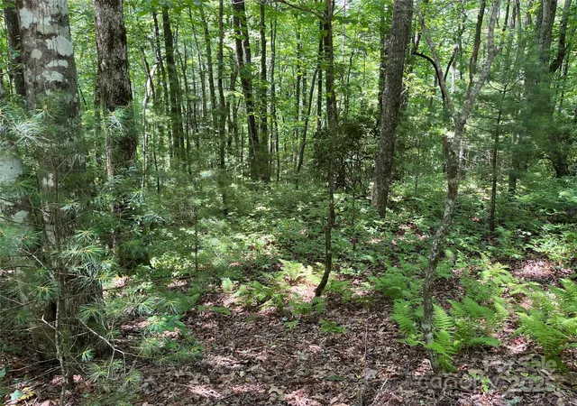 Photo 3 of Land for sale at 57 Big Branch Rd, Brevard, NC 28712 | MLS# 4228930 | Listing updated on 2025-10-10