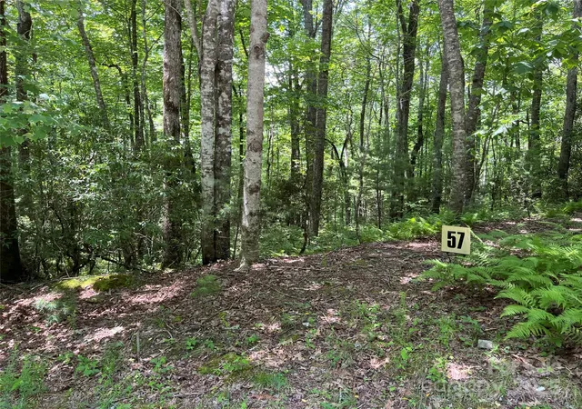 Photo 4 of Land for sale at 57 Big Branch Rd, Brevard, NC 28712 | MLS# 4228930 | Listing updated on 2025-10-10