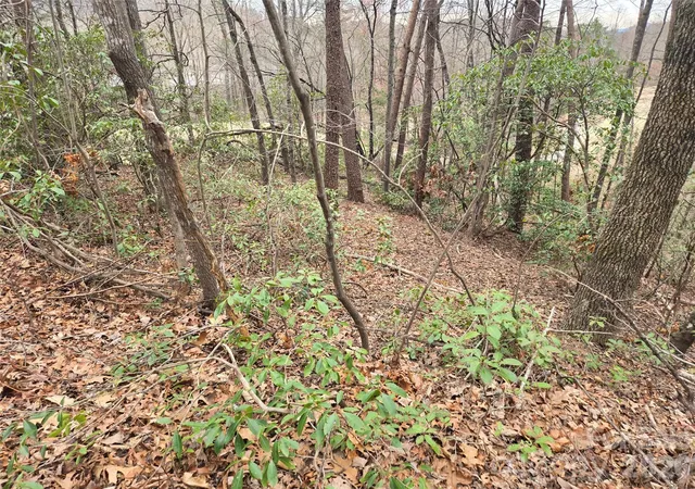 Photo 3 of Land for sale at Lot 28 Roundabout Rd, Lake Lure, NC 28746 | MLS# 4231433 | Listing updated on 2026-09-24