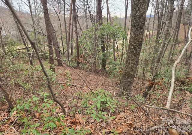 Photo 4 of Land for sale at Lot 28 Roundabout Rd, Lake Lure, NC 28746 | MLS# 4231433 | Listing updated on 2026-09-24