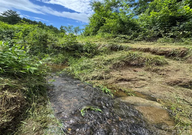 45th image of 38 Flourish Farm Ln, Asheville, NC 28806 | MLS# 4231747