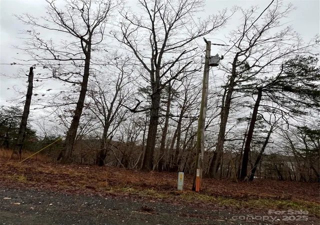 Photo 3 of Land for sale at 0 Church Rd #551, New London, NC 28127 | MLS# 4232340 | Listing updated on 2026-04-15