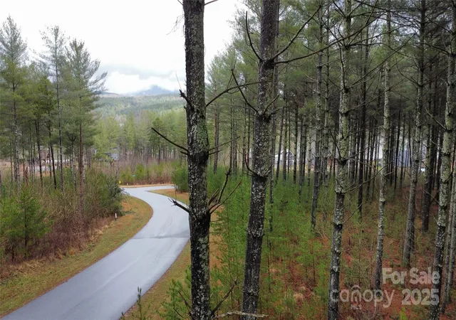 Photo 3 of Land for sale at 26 Peninsula Reserve Rd #26, Nebo, NC 28761 | MLS# 4233213 | Listing updated on 2026-08-28