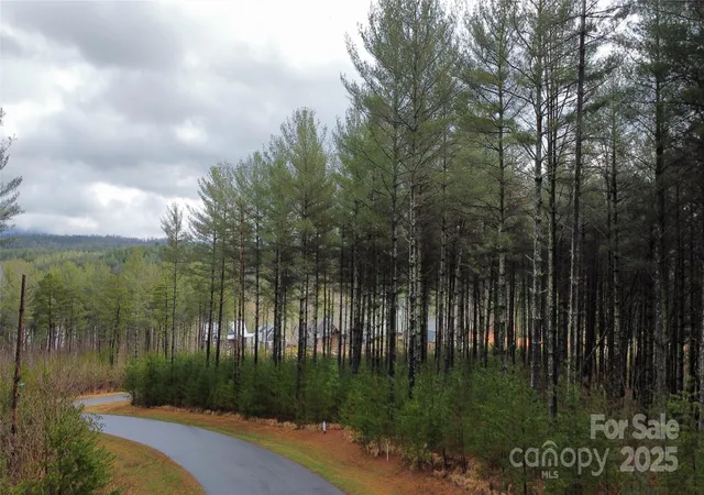 Photo 3 of Land for sale at 26 Peninsula Reserve Rd #26, Nebo, NC 28761 | MLS# 4233213 | Listing updated on 2026-08-28