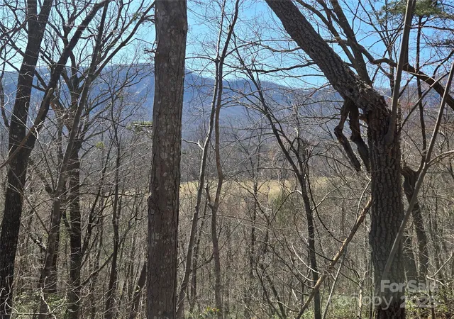 1st image of Lot 57 Banjo Ct, Lake Lure, NC 28746 | MLS# 4233392