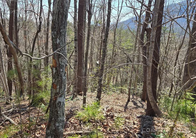 5th image of Lot 57 Banjo Ct, Lake Lure, NC 28746 | MLS# 4233392