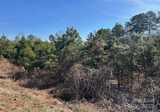 Photo 3 of Land for sale at 670 Talley Rd, Troutman, NC 28166 | MLS# 4233406 | Listing updated on 2026-10-02