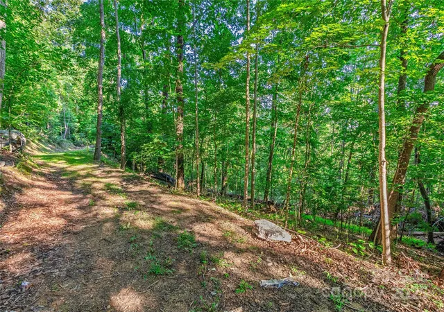 Homes for sale in Hendersonville, NC | Lot W13 Curtain Blf, Hendersonville, NC 28791 | MLS# 4233436