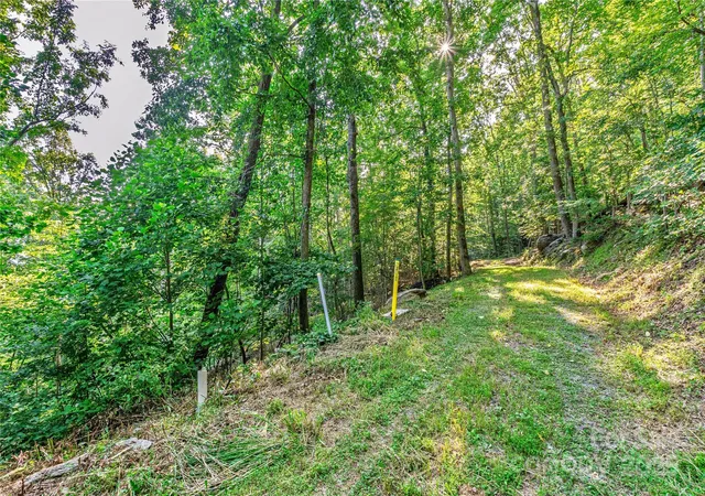 Homes for sale in Hendersonville, NC | Lot W13 Curtain Blf, Hendersonville, NC 28791 | MLS# 4233436
