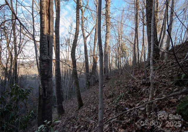 Photo 4 of Land for sale at Lot# 22 Autumn Ridge #22, Lenoir, NC 28645 | MLS# 4233602 | Listing updated on 2026-08-13