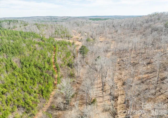 21st image of 99999 Abrams & Moore Rd, Mill Spring, NC 28756 | MLS# 4234736