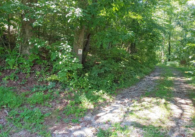 Photo 2 of Land for sale at 0000 Thomasville Ln, Gerton, NC 28735 | MLS# 4234752 | Listing updated on 2026-10-09