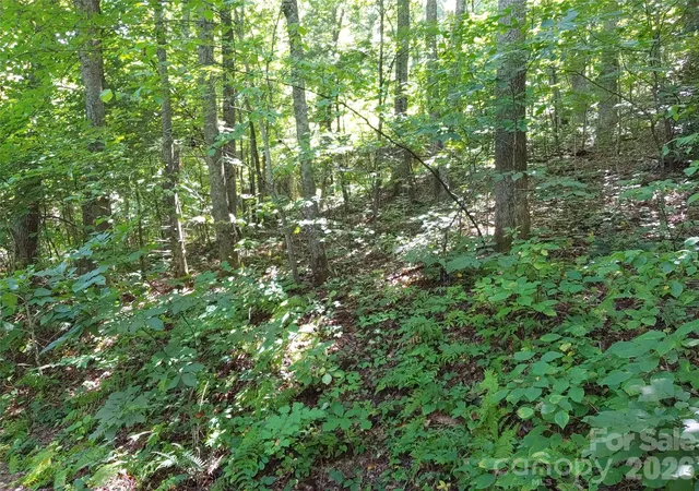 Photo 3 of Land for sale at 0000 Thomasville Ln, Gerton, NC 28735 | MLS# 4234752 | Listing updated on 2026-10-09