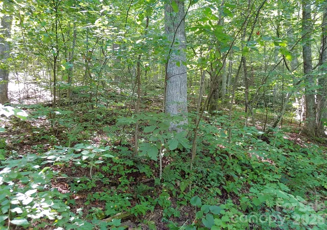 Photo 3 of Land for sale at 0000 Thomasville Ln, Gerton, NC 28735 | MLS# 4234752 | Listing updated on 2026-10-09