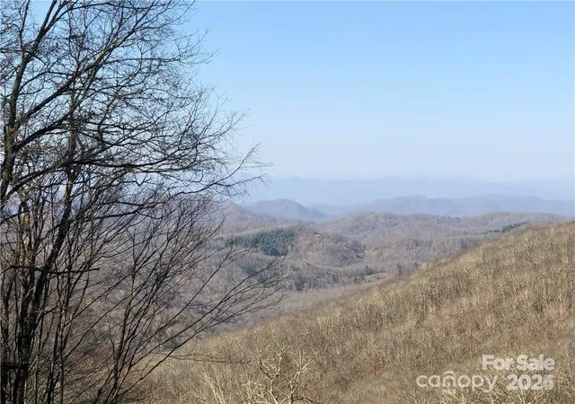 Land for sale at 285 Granny Lewis Ln, Mars Hill, NC 28754 | MLS# 4234880