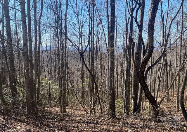 Photo 1 of Land for sale at Lot 72 Mountain Crst Dr S, Marion, NC 28752 | MLS# 4235615 | Listing updated on 2026-03-20