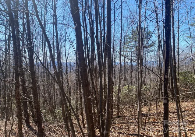 Photo 2 of Land for sale at Lot 72 Mountain Crst Dr S, Marion, NC 28752 | MLS# 4235615 | Listing updated on 2026-03-20