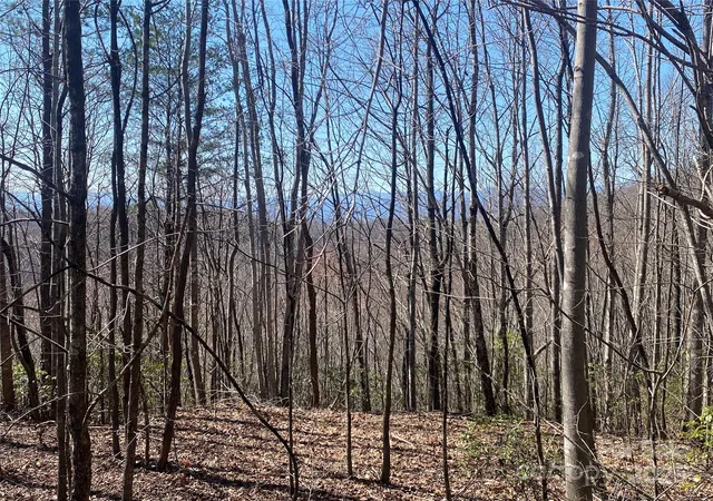 Photo 3 of Land for sale at Lot 72 Mountain Crst Dr S, Marion, NC 28752 | MLS# 4235615 | Listing updated on 2026-03-20