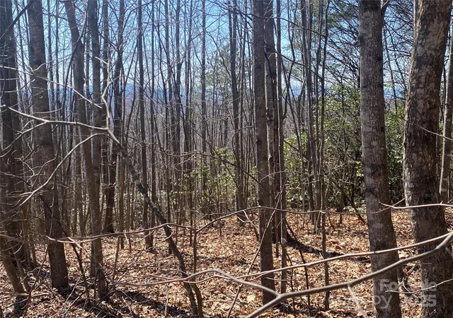 Photo 4 of Land for sale at Lot 72 Mountain Crst Dr S, Marion, NC 28752 | MLS# 4235615 | Listing updated on 2026-03-20