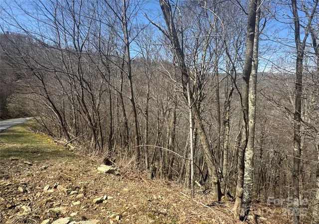 Photo 1 of Land for sale at 53 & 55 Running Cedar Dr, Mars Hill, NC 28754 | MLS# 4235942 | Listing updated on 2026-04-06