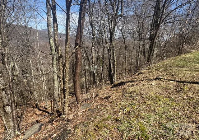 Photo 3 of Land for sale at 53 & 55 Running Cedar Dr, Mars Hill, NC 28754 | MLS# 4235942 | Listing updated on 2026-04-06
