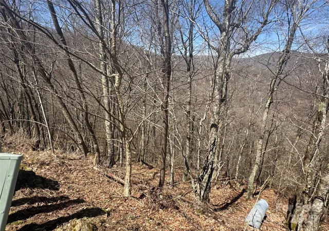 Photo 4 of Land for sale at 53 & 55 Running Cedar Dr, Mars Hill, NC 28754 | MLS# 4235942 | Listing updated on 2026-04-06