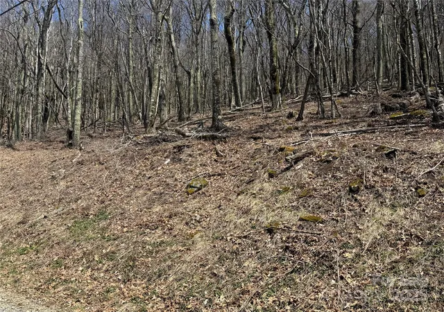Photo 1 of Land for sale at 244 & 245 Grouse Thicket Ln, Mars Hill, NC 28754 | MLS# 4235956 | Listing updated on 2026-04-06