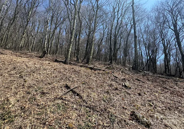 Photo 2 of Land for sale at 244 & 245 Grouse Thicket Ln, Mars Hill, NC 28754 | MLS# 4235956 | Listing updated on 2026-04-06