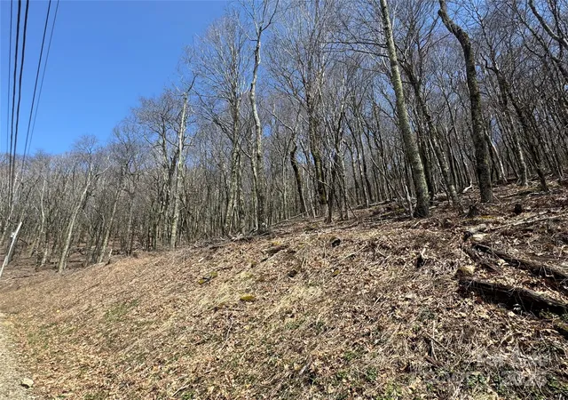 Photo 3 of Land for sale at 244 & 245 Grouse Thicket Ln, Mars Hill, NC 28754 | MLS# 4235956 | Listing updated on 2026-04-06