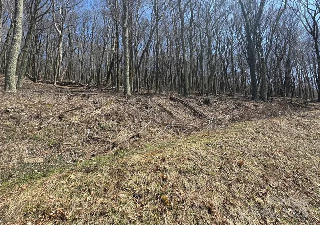 Photo 4 of Land for sale at 244 & 245 Grouse Thicket Ln, Mars Hill, NC 28754 | MLS# 4235956 | Listing updated on 2026-04-06