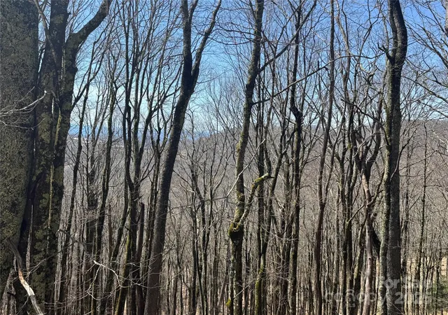 Photo 5 of Land for sale at 244 & 245 Grouse Thicket Ln, Mars Hill, NC 28754 | MLS# 4235956 | Listing updated on 2026-04-06