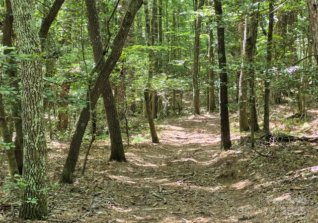 23rd image of 000 16th St Ne, Hickory, NC 28601 | MLS# 4237492