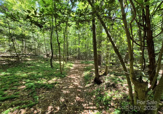 5th image of 000 16Th St Ne, Hickory, NC 28601 | MLS# 4237492