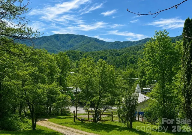 Photo 1 of Single family home for sale at 38 Buchanan Hill Rd, Bakersville, NC 28705 | MLS# 4237916 | Listing updated on 2026-08-31