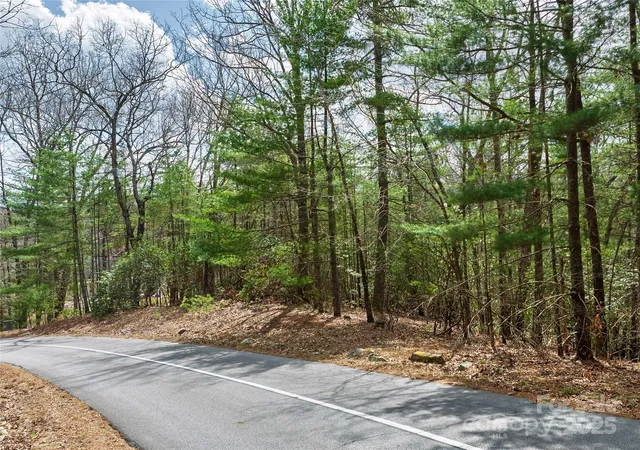 Photo 3 of Land for sale at Lot 71 S Ridge Dr, Hendersonville, NC 28739 | MLS# 4238402 | Listing updated on 2026-03-10