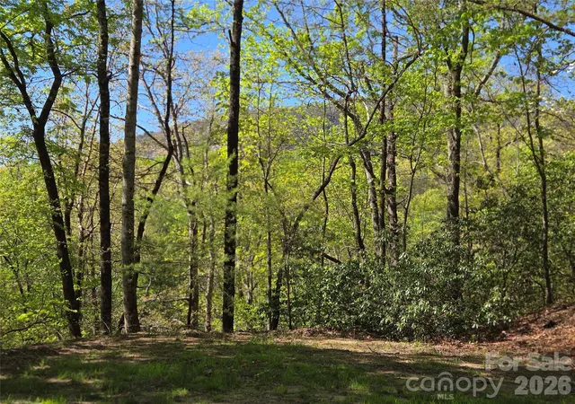 Photo 1 of Land for sale at Lot 64 & 65 Walnut Ln, Lake Lure, NC 28746 | MLS# 4239063 | Listing updated on 2026-09-24