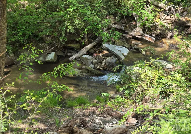 Photo 2 of Land for sale at Lot 64 & 65 Walnut Ln, Lake Lure, NC 28746 | MLS# 4239063 | Listing updated on 2026-09-24