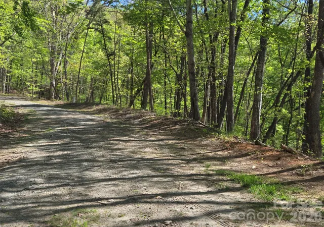 Photo 4 of Land for sale at Lot 64 & 65 Walnut Ln, Lake Lure, NC 28746 | MLS# 4239063 | Listing updated on 2026-09-24