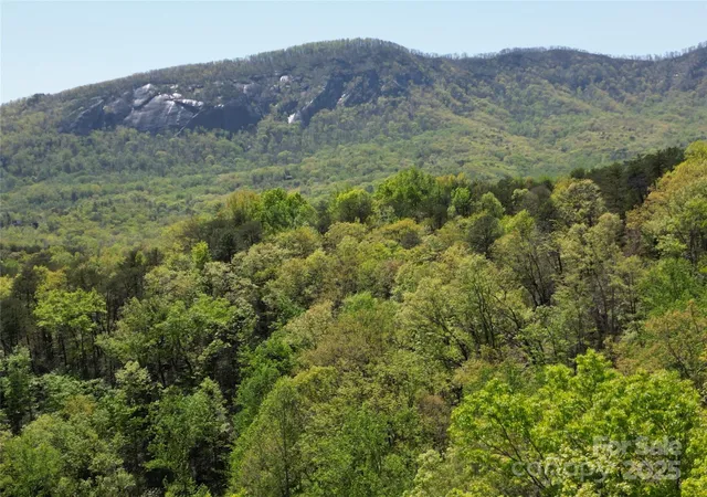 2nd image of Lot 114 Summit Ct, Lake Lure, NC 28746 | MLS# 4239254