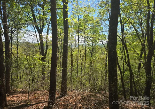 3rd image of Lot 114 Summit Ct, Lake Lure, NC 28746 | MLS# 4239254