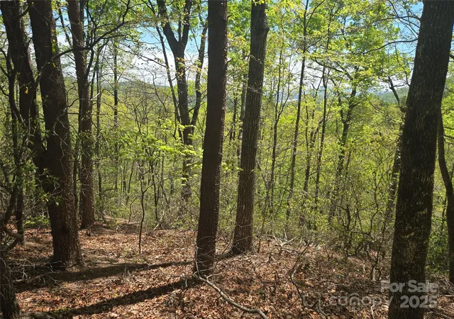 4th image of Lot 114 Summit Ct, Lake Lure, NC 28746 | MLS# 4239254