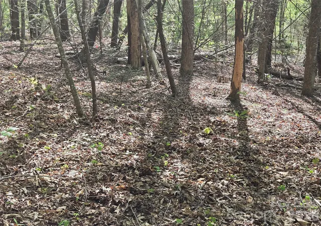 Photo 1 of Land for sale at Lot 172 W Lake Dr N, Lake Lure, NC 28746 | MLS# 4239278 | Listing updated on 2026-09-24