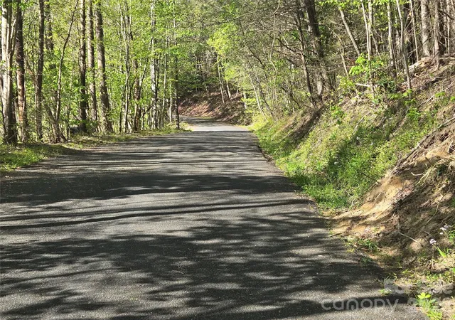 Photo 3 of Land for sale at Lot 172 W Lake Dr N, Lake Lure, NC 28746 | MLS# 4239278 | Listing updated on 2026-09-24
