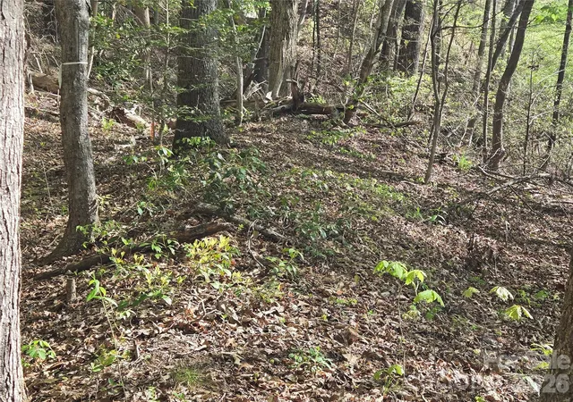 Photo 3 of Land for sale at Lot 172 W Lake Dr N, Lake Lure, NC 28746 | MLS# 4239278 | Listing updated on 2026-09-24