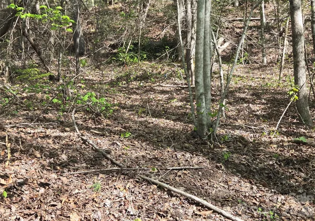 Photo 4 of Land for sale at Lot 172 W Lake Dr N, Lake Lure, NC 28746 | MLS# 4239278 | Listing updated on 2026-09-24